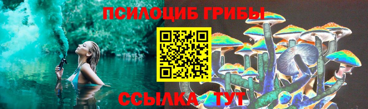 Галлюциногенные грибы GOLDEN TEACHER Иваново